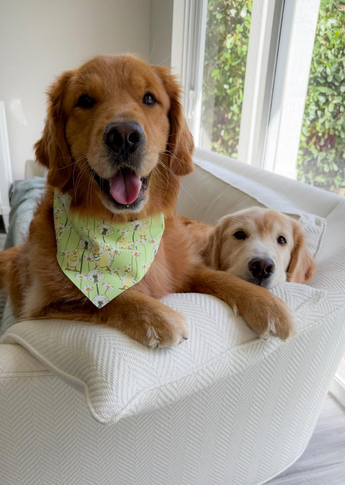 Wildflower Ducklings Bandana