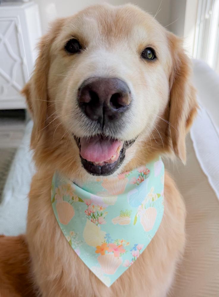 Shell Vases Bandana