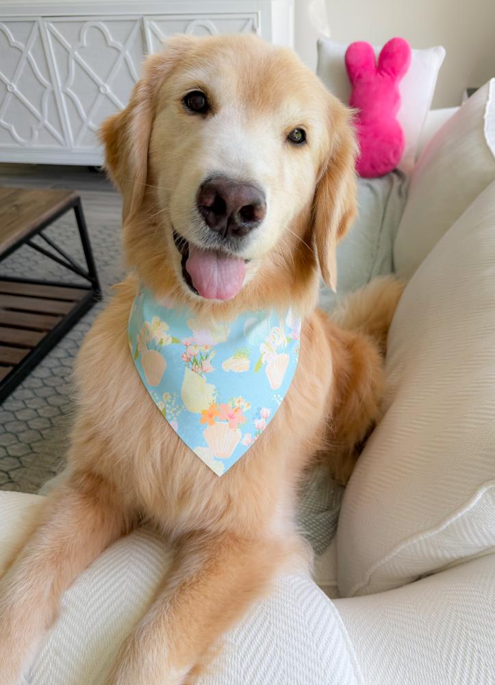 Shell Vases Bandana
