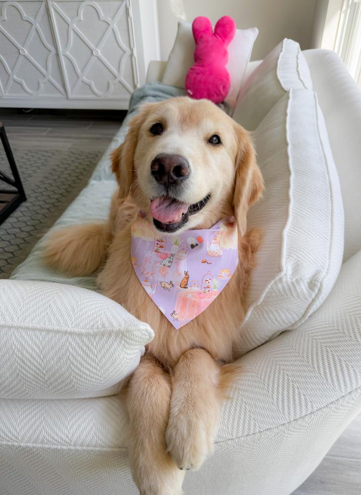 Bunny Tea Party Bandana