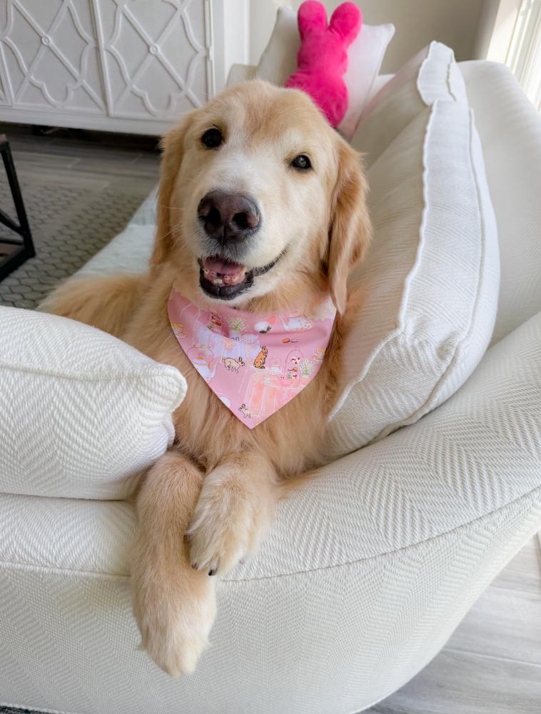 Bunny Tea Party Bandana