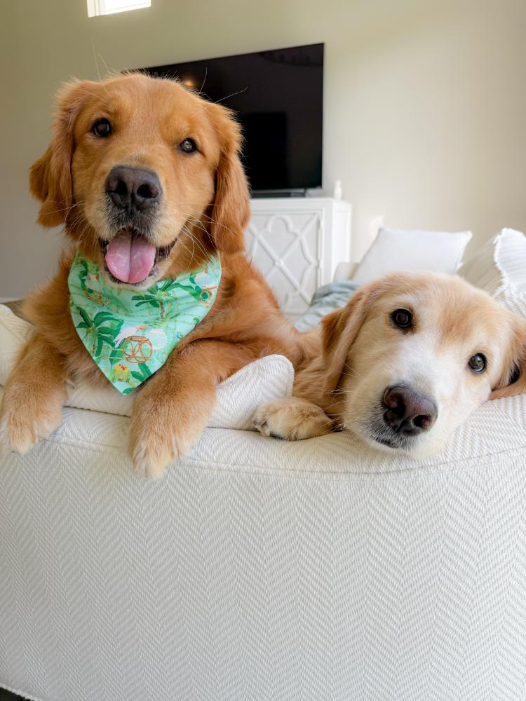 Bamboo Birds Bandana