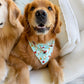 Lady Bugs Bandana
