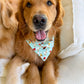 Lady Bugs Bandana