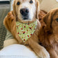 Lady Bugs Bandana