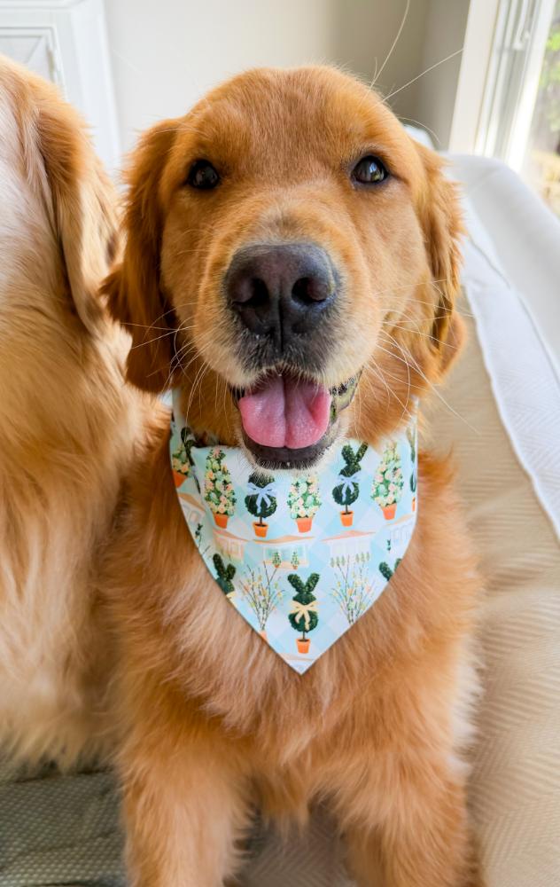 Easter Cottages Bandana