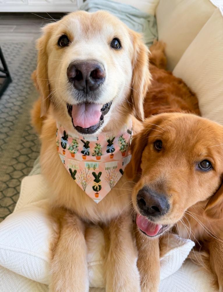 Easter Cottages Bandana