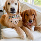 Easter Cottages Bandana
