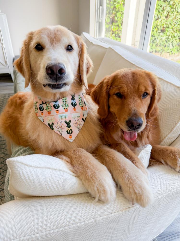 Easter Cottages Bandana