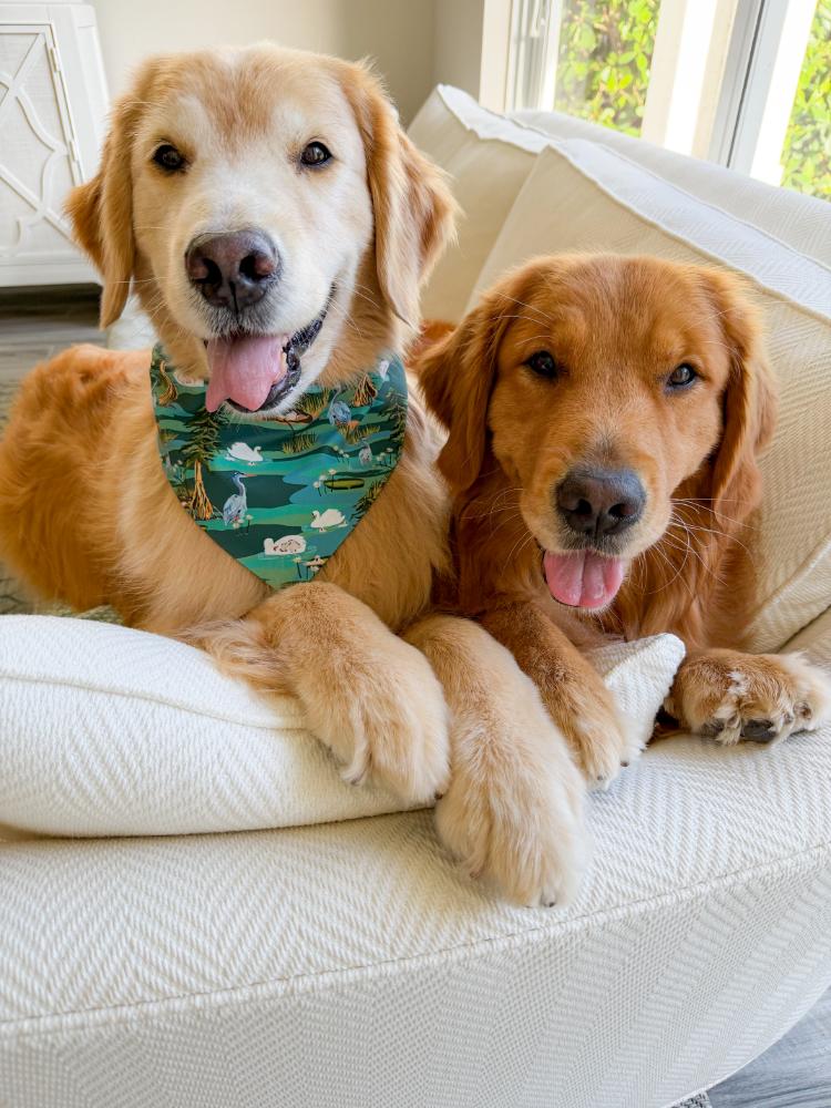 Spring in the Swampy Marsh Bandana