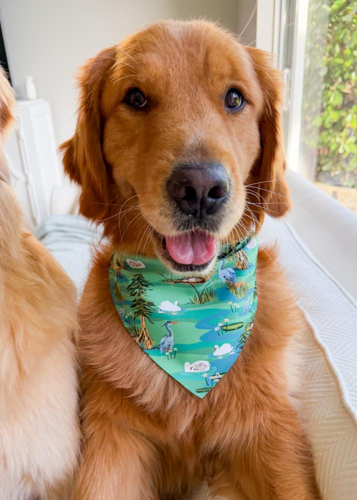 Spring in the Swampy Marsh Bandana