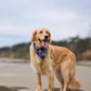Lavender Fields Bandana