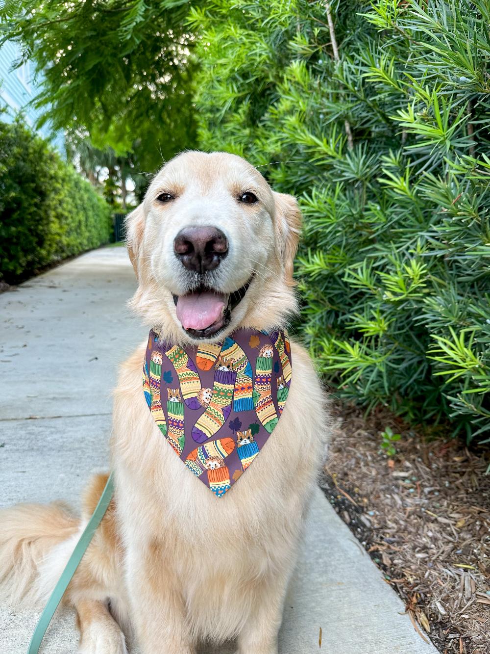 Sweater Socks Bandana