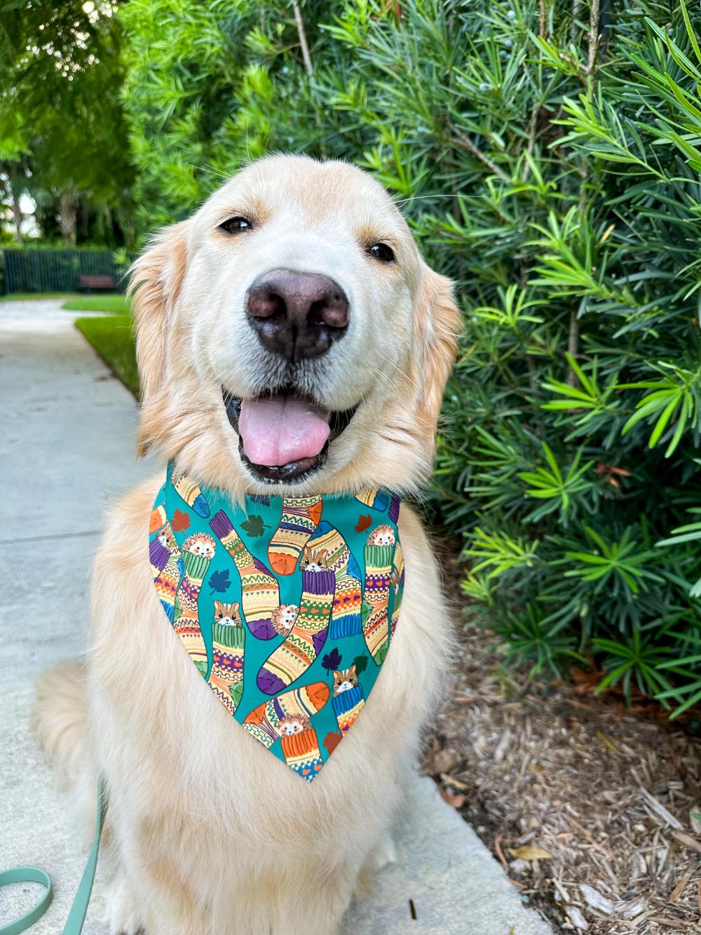 Sweater Socks Bandana