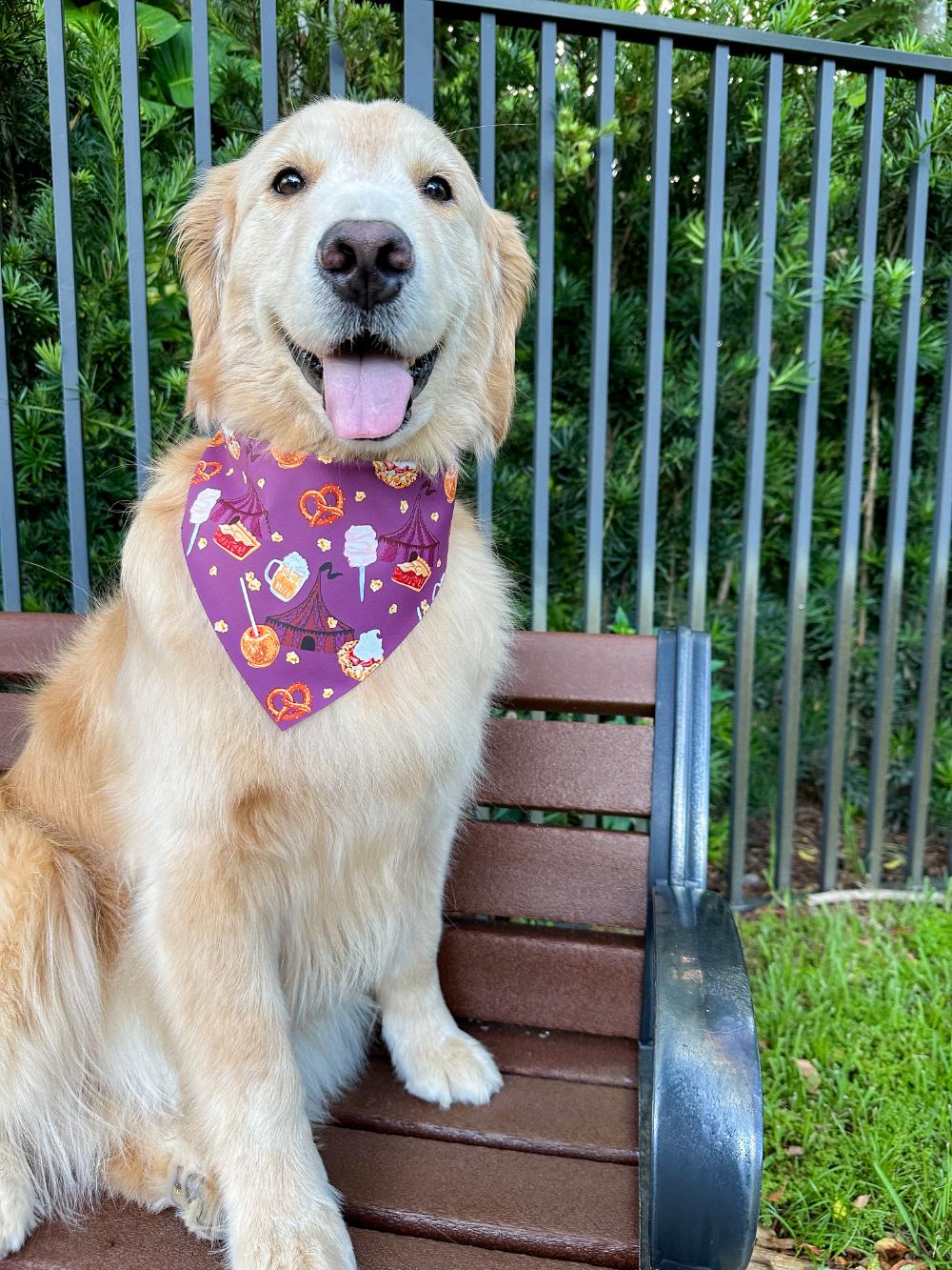 Fall Carnival Bandana