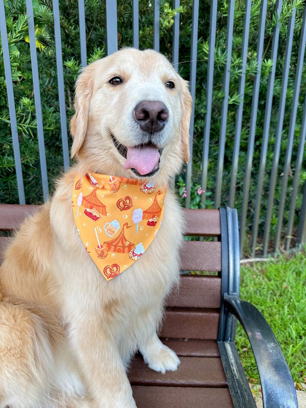 Fall Carnival Bandana