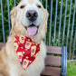 Popcorn Bandana