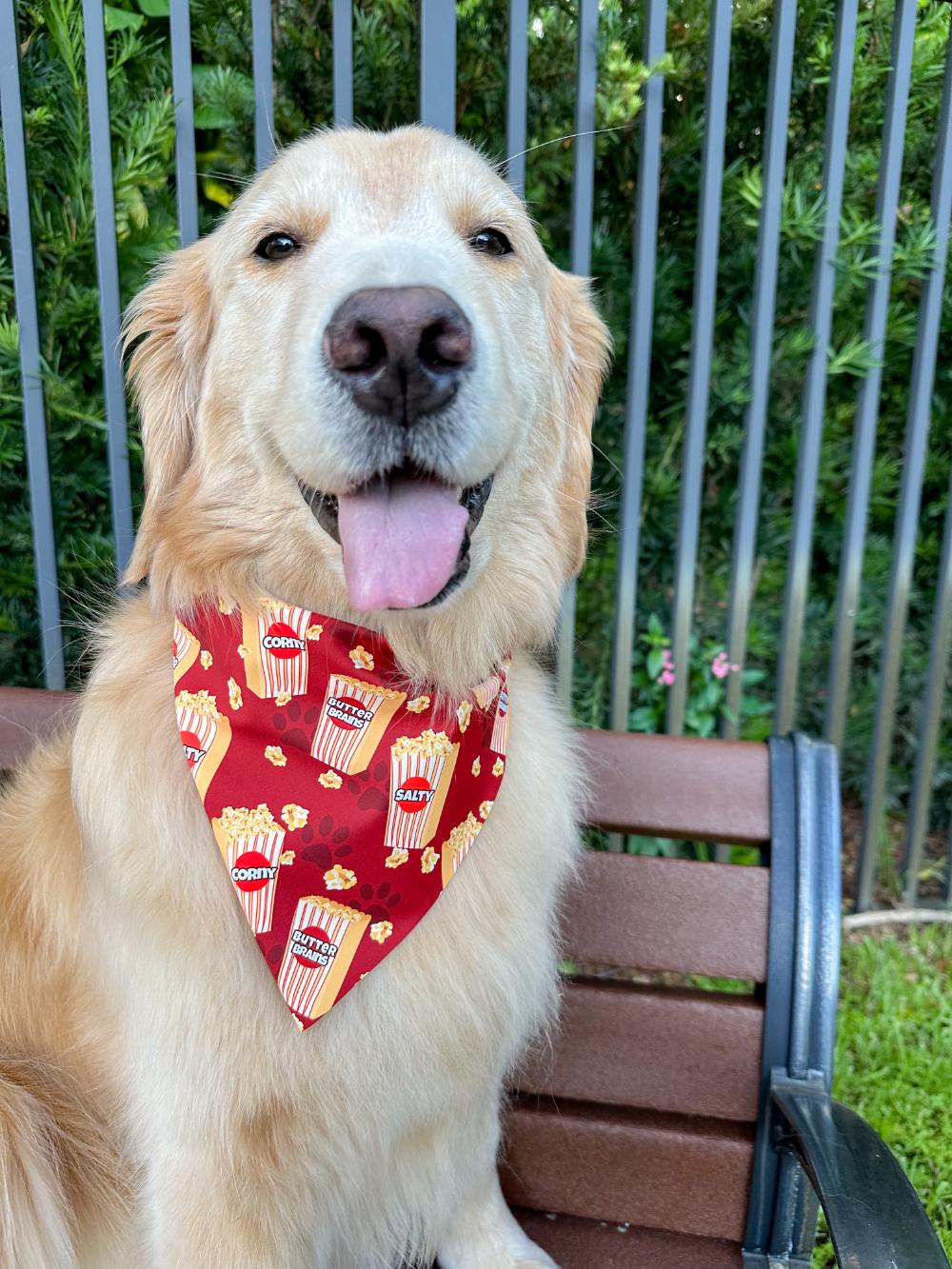 Popcorn Bandana