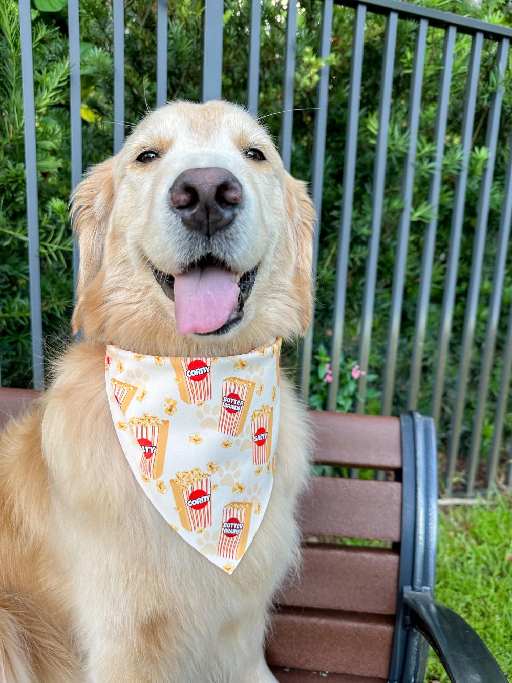 Popcorn Bandana