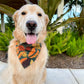 Fall Fronds Bandana