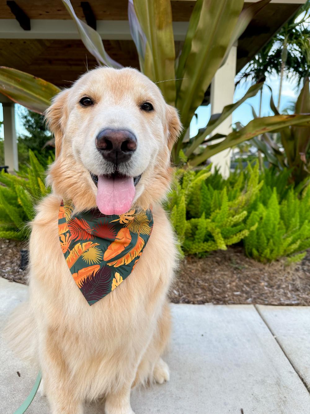 Fall Fronds Bandana