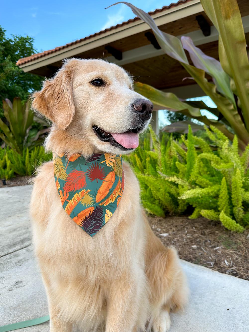 Fall Fronds Bandana