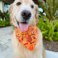 Fall in Florida Bandana