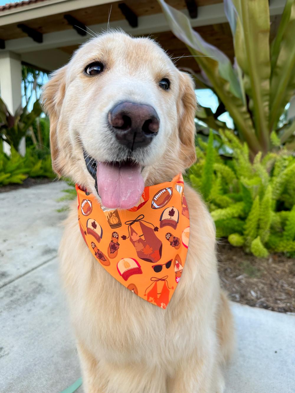 Fall in Florida Bandana