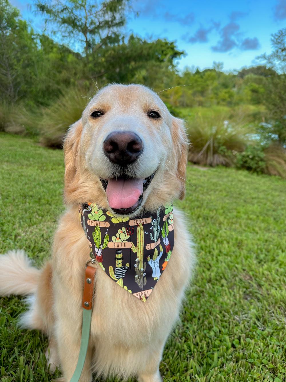 Costumed Cacti Bandana