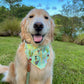 Costumed Cacti Bandana