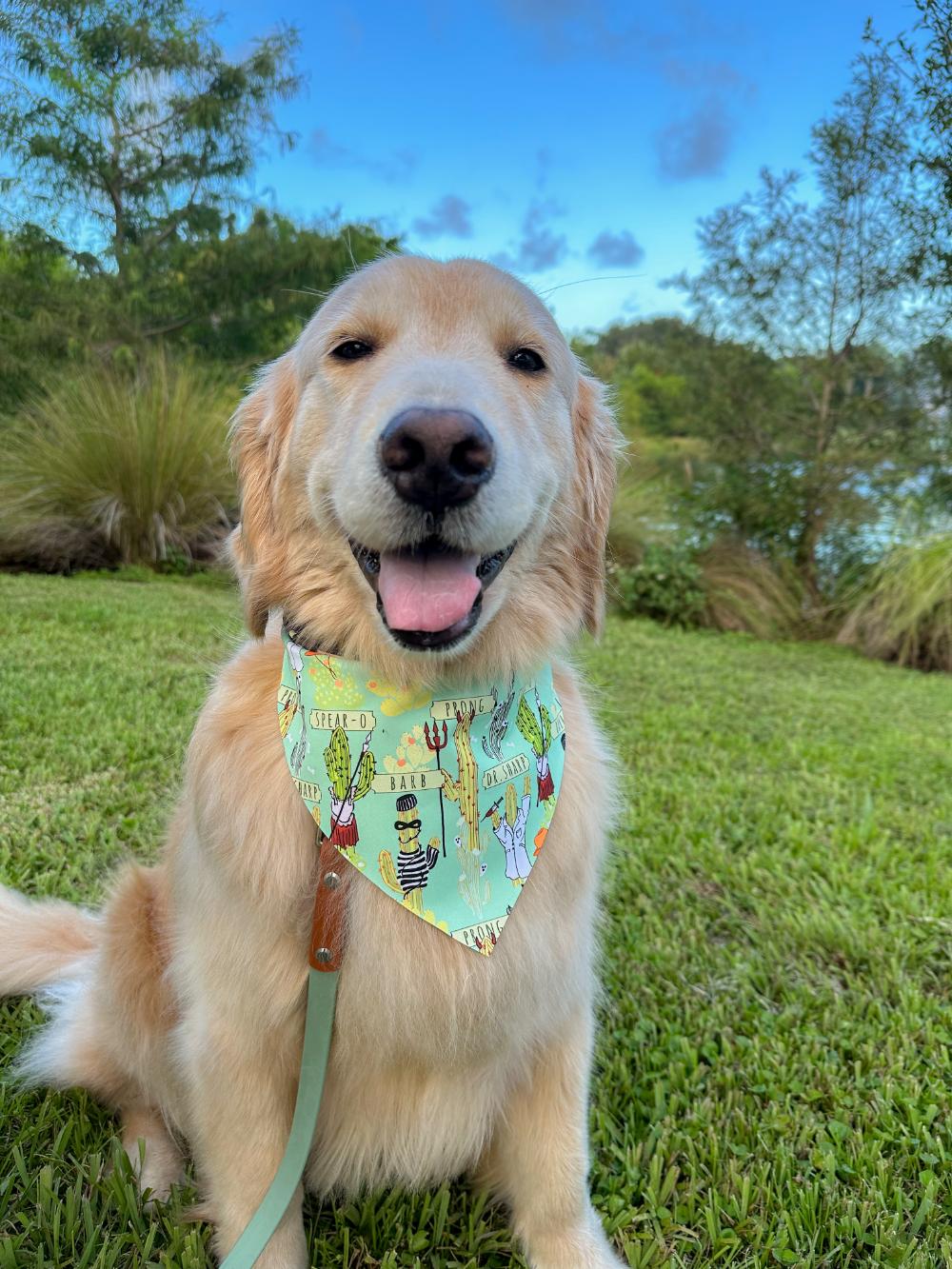 Costumed Cacti Bandana