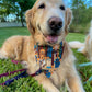 Library Pups Bandana