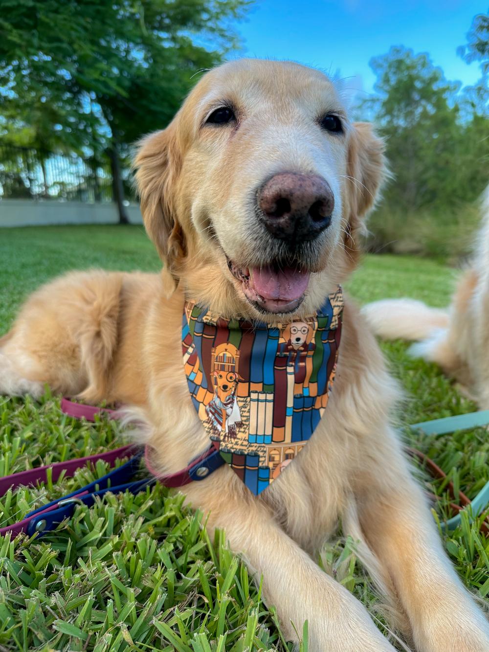 Library Pups Bandana