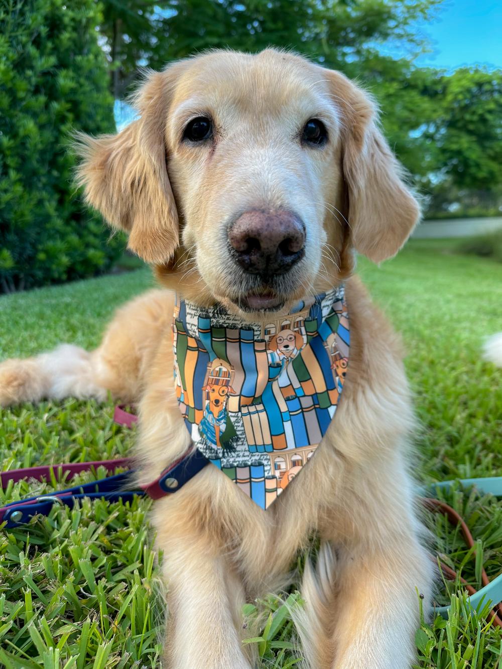 Library Pups Bandana