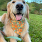 Hogging Fall Bandana