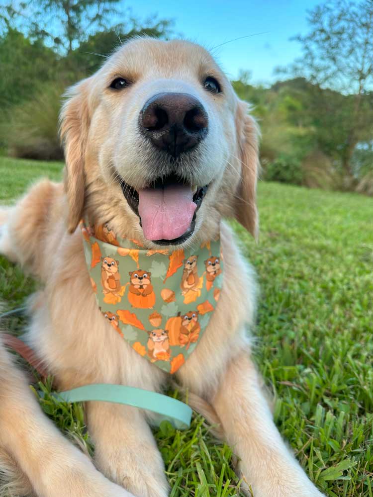 Hogging Fall Bandana