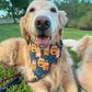 Halloween Hogs Bandana