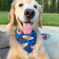 Sweet Fang Bandana