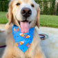 Sweet Fang Bandana