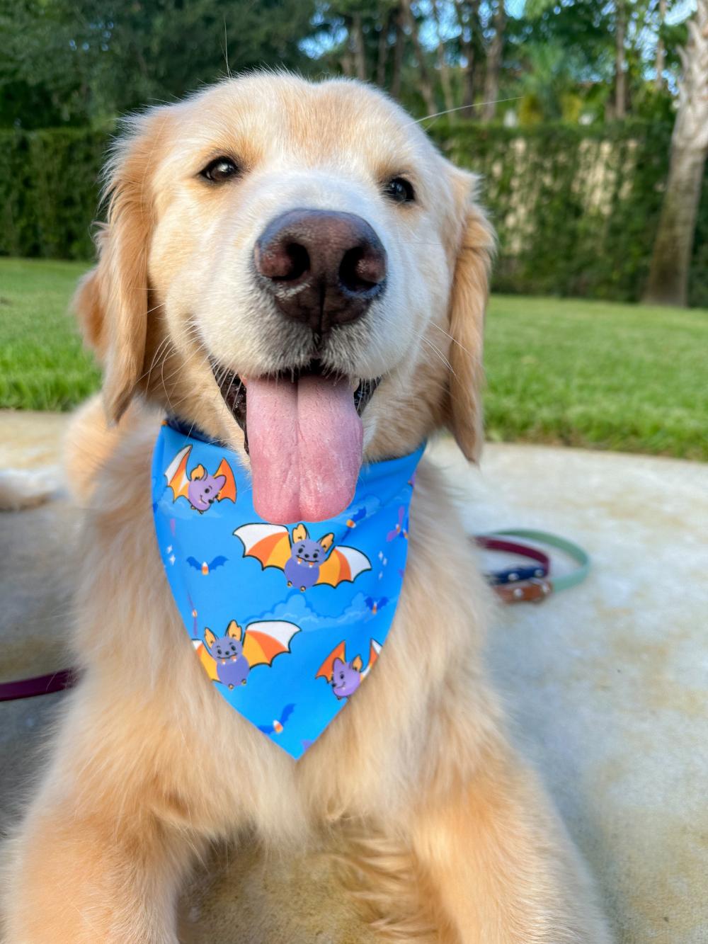 Sweet Fang Bandana