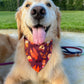 Fall in Florida Bandana