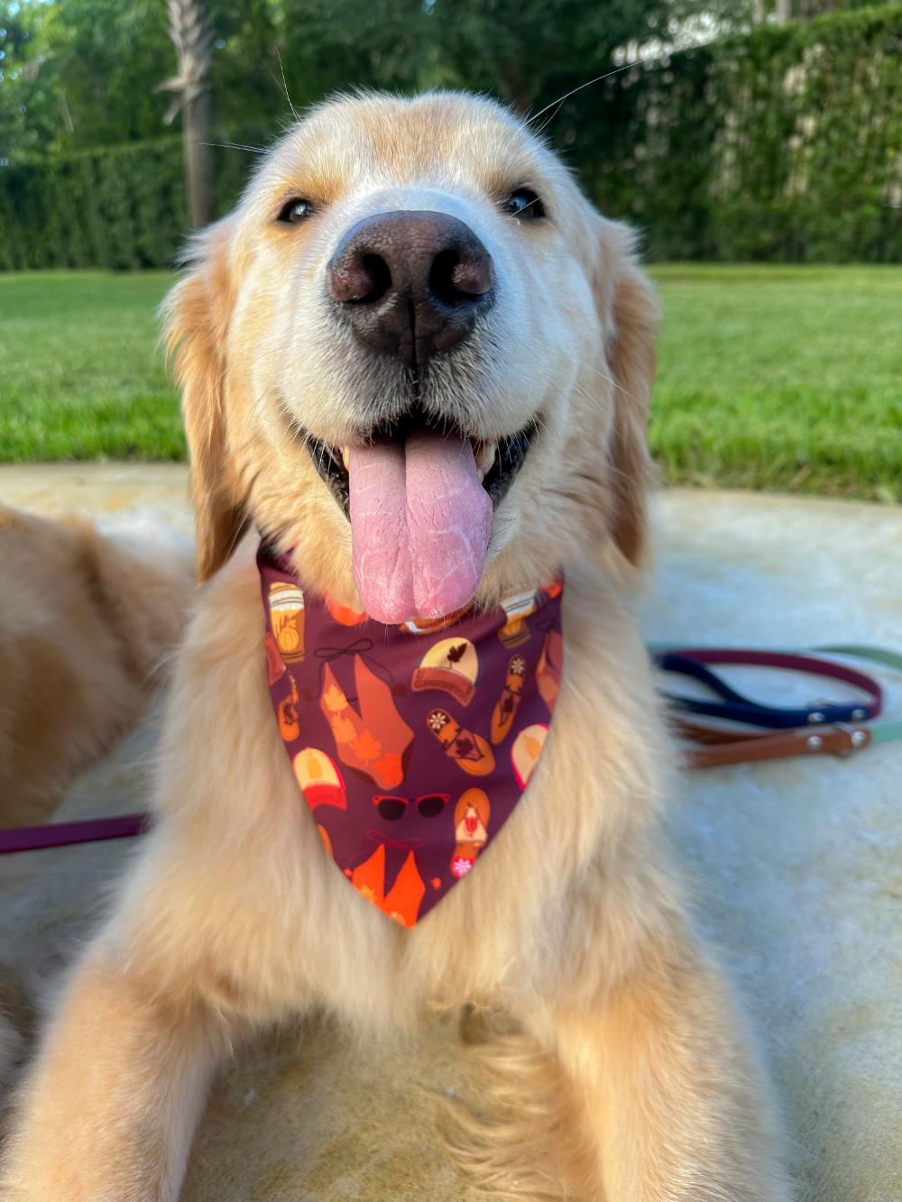 Fall in Florida Bandana