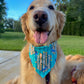 Blue Birch N Harmony Bandana