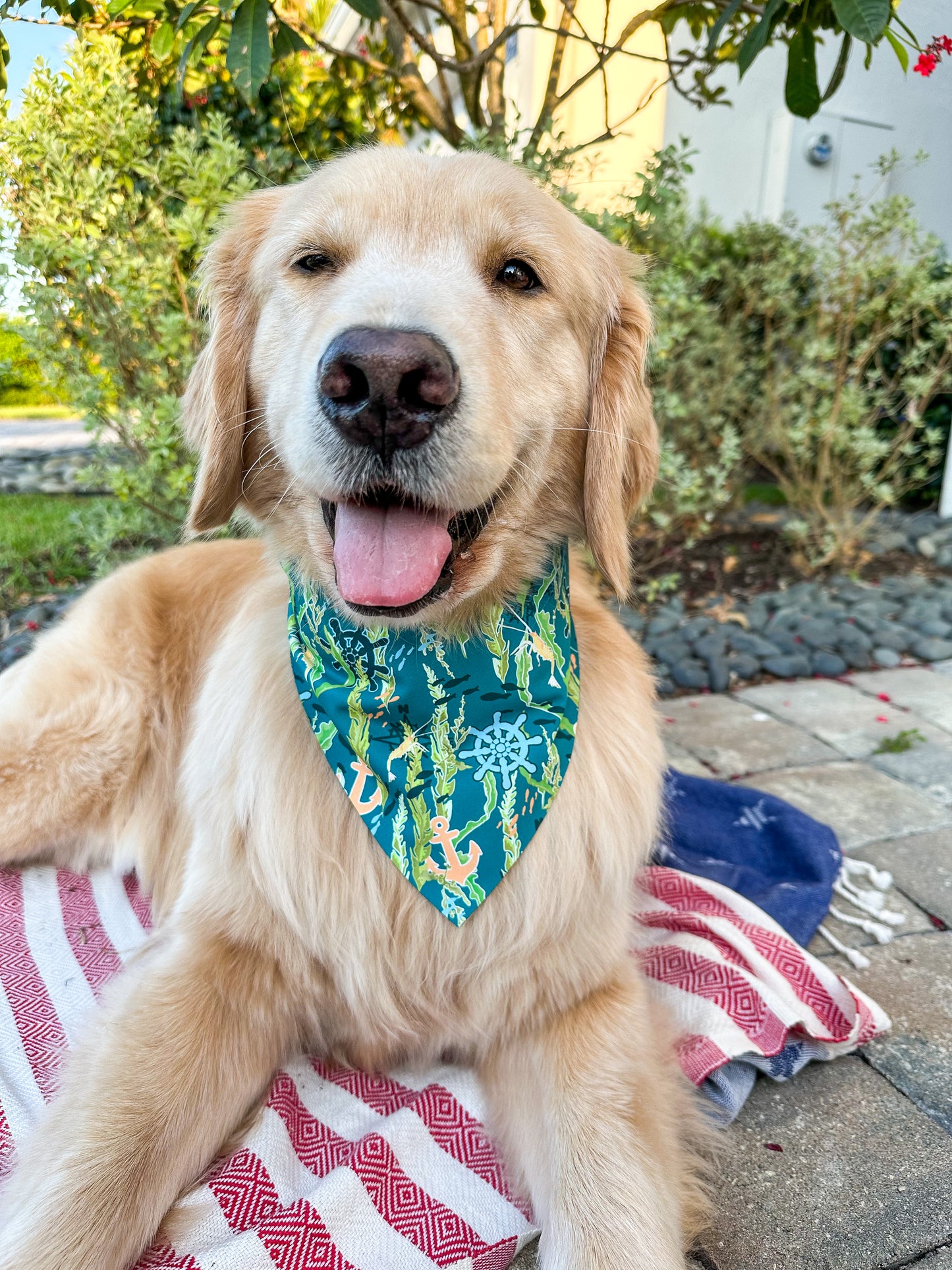 Briny Life Bandana