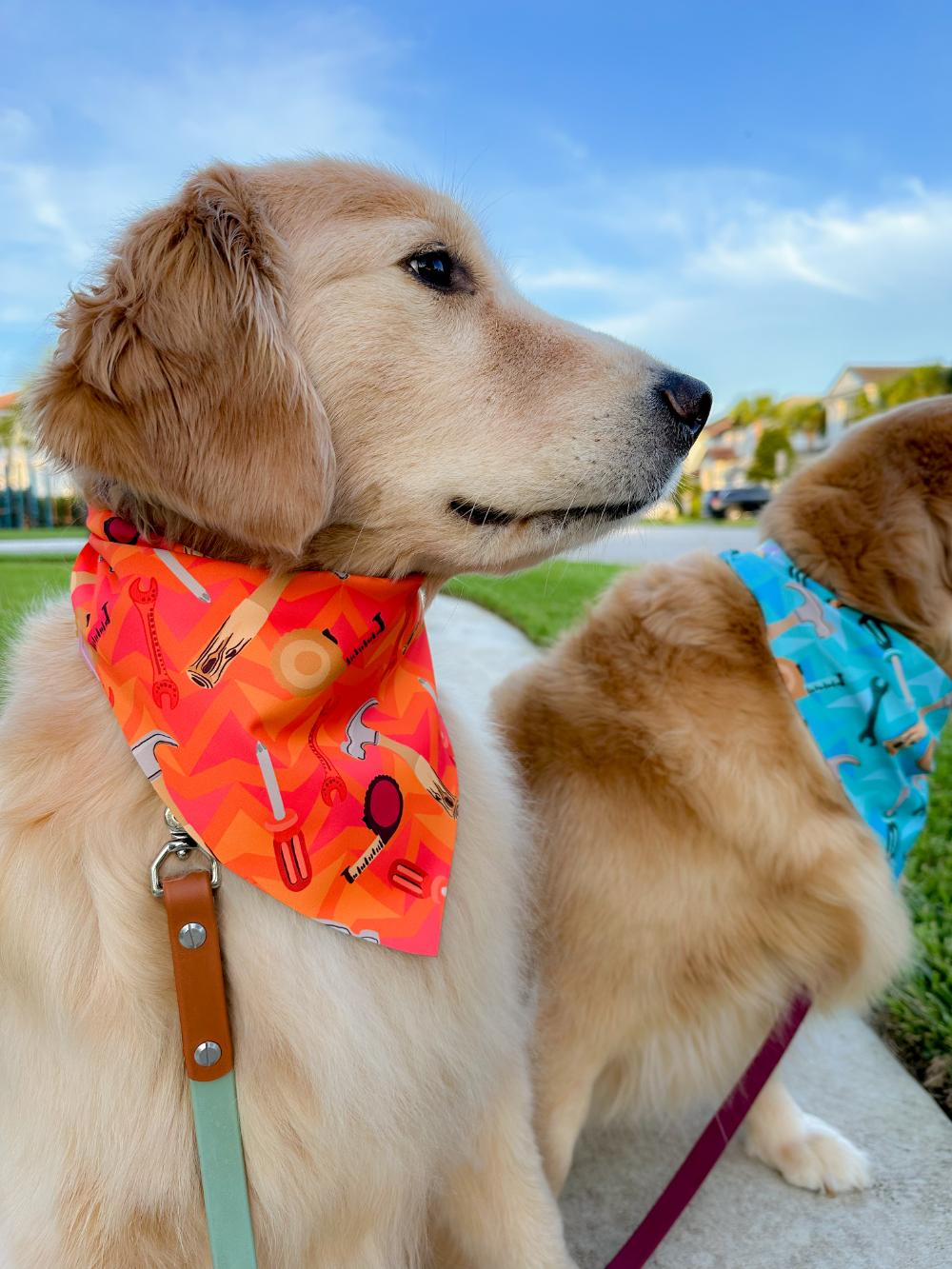 High Maintenance Bandana