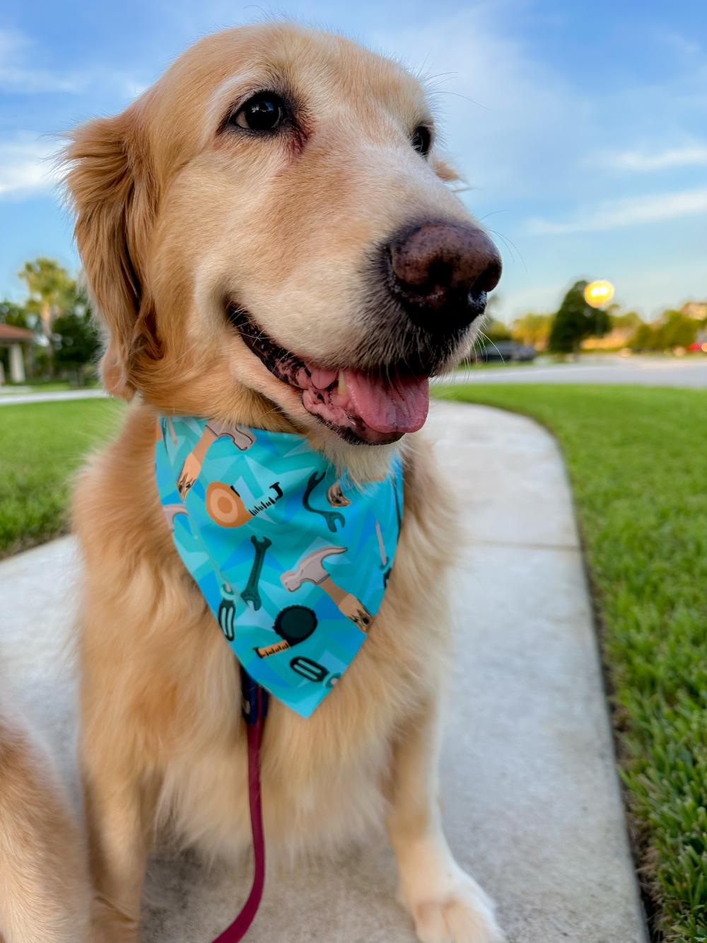 High Maintenance Bandana