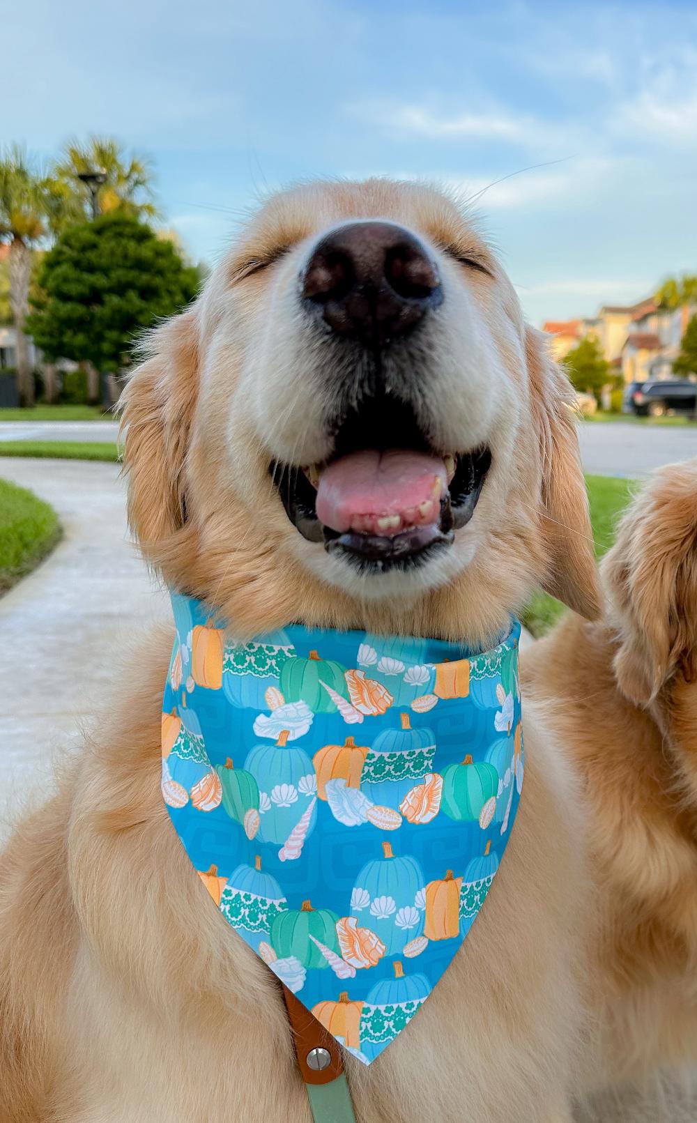 Aegean Pumpkins Bandana