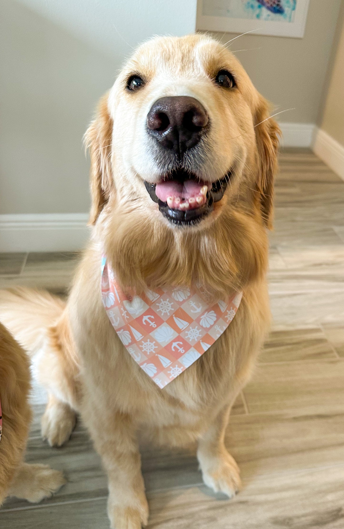 Coastal Gingham Bandana