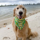 Sardines and Lemons  Bandana