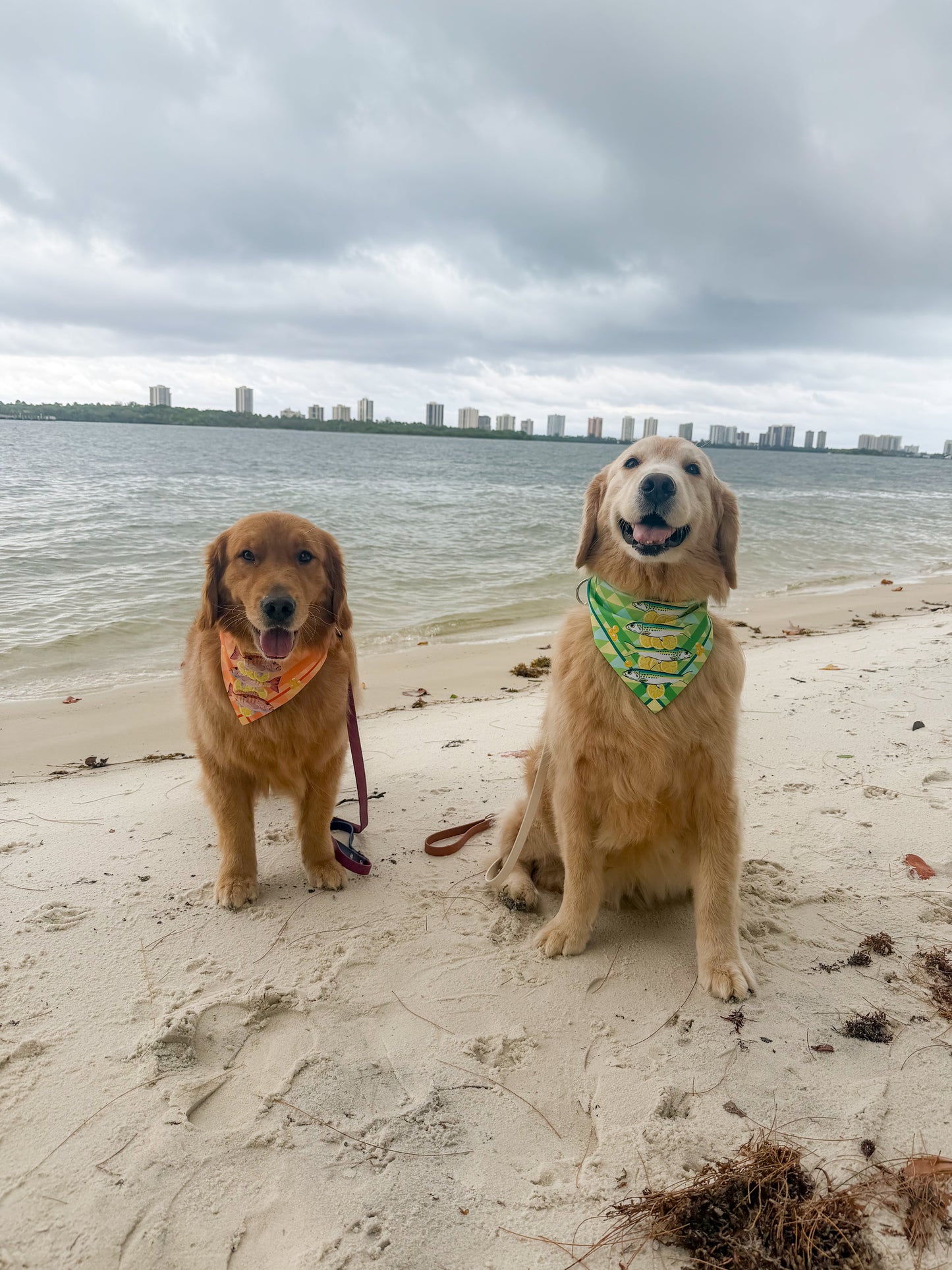 Snapper and Lemons  Bandana